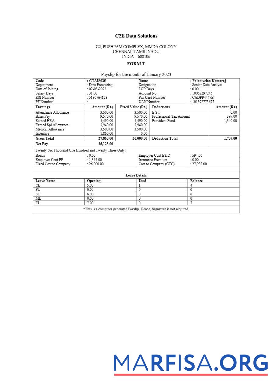 Printable C2E Data Solutions payslip download for verification